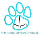 Northern Beaches Veterinary Hospital - Vet Melbourne