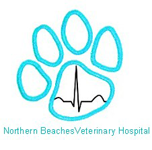 Northern Beaches Veterinary Hospital - Vet Melbourne 0