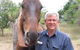 Northern Beaches Veterinary Hospital - thumb 1