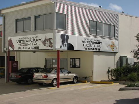 Northern Beaches Veterinary Hospital - Vet Melbourne 2