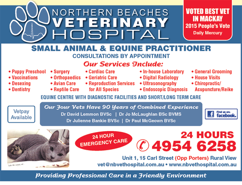 Northern Beaches Veterinary Hospital - Vet Melbourne 3