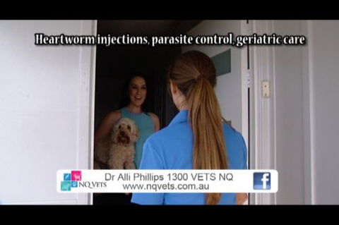 NQ Vets Mobile - Vet Melbourne 4