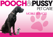 Pooch & Pussy Pet Care - Vet Melbourne 0