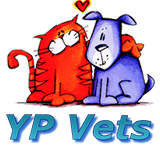 YP Vets - Vet Melbourne