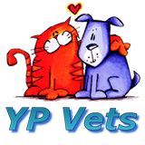 YP Vets - Vet Melbourne 0