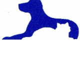 Dr Stephen Crouch Gawler South Small Animal Hospital - Vet Melbourne