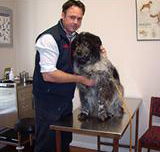 Sunbury All Creatures - Vet Melbourne