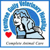 Lysterfield South VIC Vet Melbourne