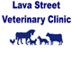 Lava Street Veterinary Clinic - Vet Melbourne