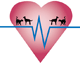 Highett Street Veterinary Hospital - Vet Melbourne