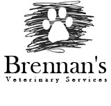 Brennan's Veterinary Services - Vet Melbourne