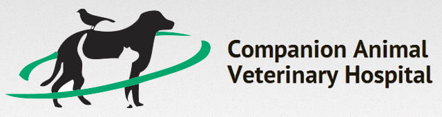 Huntley NSW Vet Melbourne