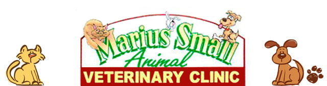 Nemingha NSW Vet Melbourne