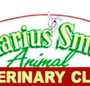 Marius Small Animal Veterinary Clinic - Vet Melbourne