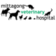 Mittagong Veterinary Hospital - Vet Melbourne