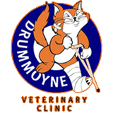 Drummoyne Veterinary Clinic - Vet Melbourne
