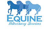 Dr Ed's Equine Veterinary Services