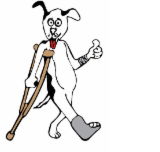 Wilberforce Veterinary Hospital