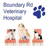 Boundary Road Veterinary Hospital Peakhurst - Vet Melbourne