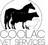 Coolac Veterinary Services - Vet Melbourne