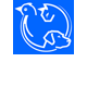 Croydon Park Veterinary Clinic  Boarding Cattery - Vet Melbourne