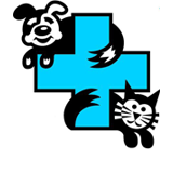 Berry Street Veterinary Hospital - Vet Melbourne 0