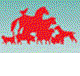 Rossmore Veterinary Centre - Vet Melbourne