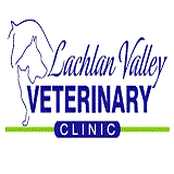 Lachlan Valley Veterinary Clinic - Vet Melbourne