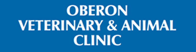 Norway NSW Vet Melbourne