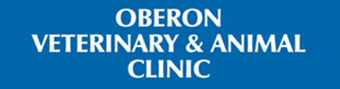 Oberon Veterinary And Animal Clinic - Vet Melbourne 0