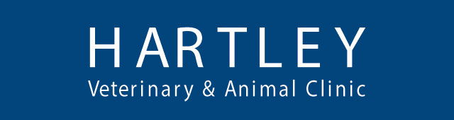 Hartley NSW Vet Melbourne