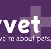 CityVet - Vet Melbourne