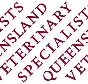 Queensland Veterinary Specialists - Vet Melbourne
