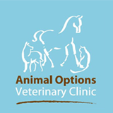 Animal Options Veterinary Clinic - Vet Melbourne