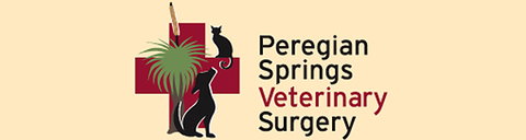Peregian Springs Veterinary Surgery - Vet Melbourne 0
