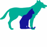 Pine Mountain Vet Clinic - Vet Melbourne
