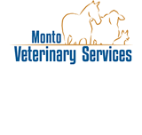 MontoVet Surgery - Vet Melbourne