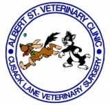 Albert Street Veterinary Clinic - Vet Melbourne