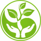 Book Tamborine Accommodation Vacations Vet Melbourne Vet Melbourne