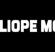 Calliope Mobile Vet - Vet Melbourne