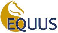 Equus Muscle Management - Vet Melbourne 0