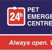 Animal Accident  Emergency Point Cook - Vet Melbourne