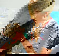 Walker Street Veterinary Surgery - Vet Melbourne