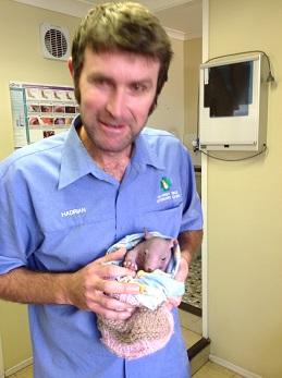 Killarney Vale Veterinary Clinic - Vet Melbourne 2