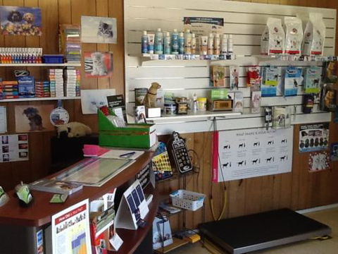 Killarney Vale Veterinary Clinic - Vet Melbourne 5