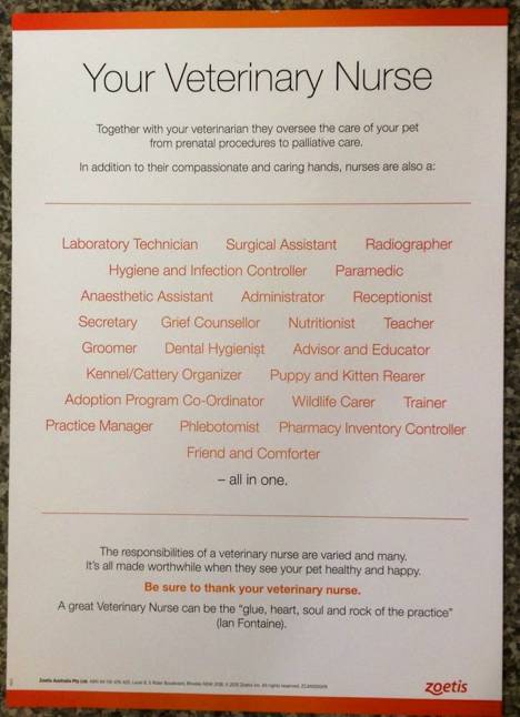 Killarney Vale Veterinary Clinic - Vet Melbourne 6