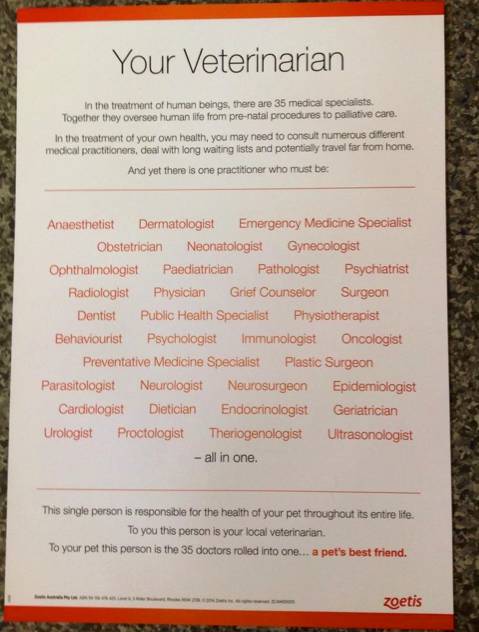 Killarney Vale Veterinary Clinic - Vet Melbourne 7