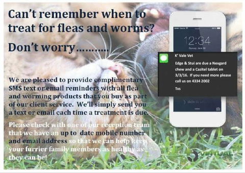 Killarney Vale Veterinary Clinic - Vet Melbourne 8