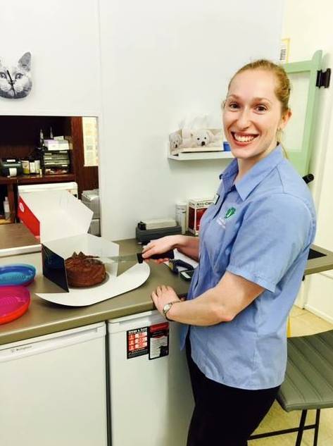 Killarney Vale Veterinary Clinic - Vet Melbourne 10