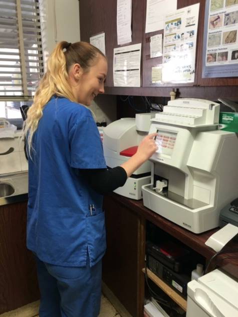 Killarney Vale Veterinary Clinic - Vet Melbourne 12